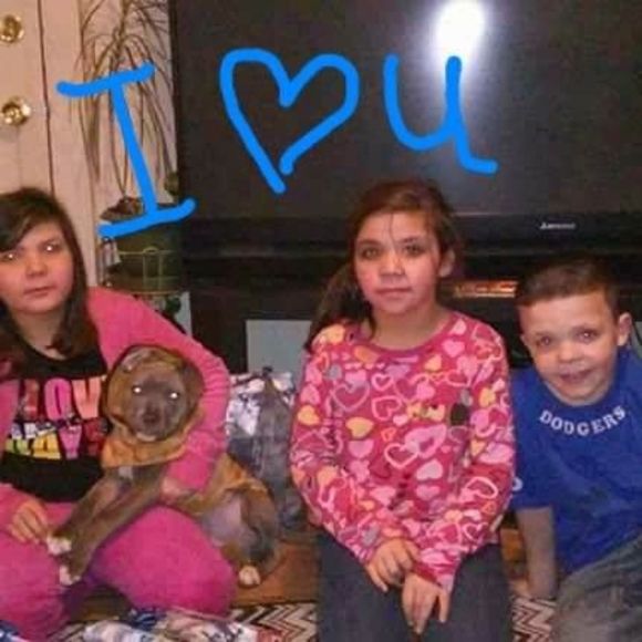 Meet your Posher, Daniel - Picture 1 of 1